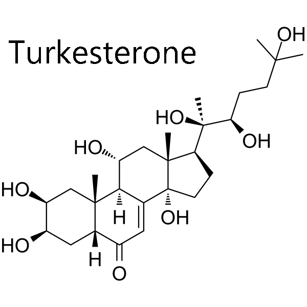 turkesterone supplement