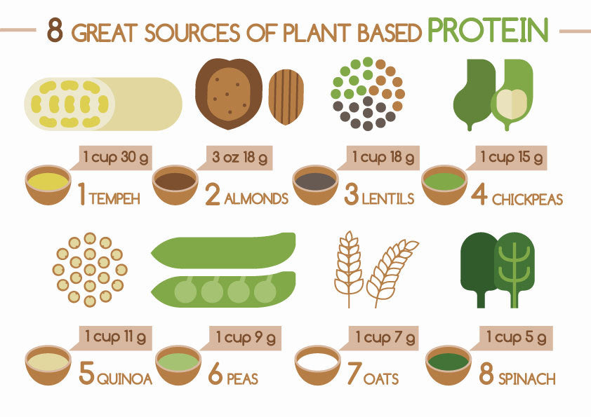 vegan protein sources